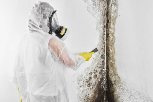 Best Crawl Space Mold Removal  in Oxford, OH