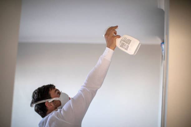 Best Black Mold Removal  in Oxford, OH