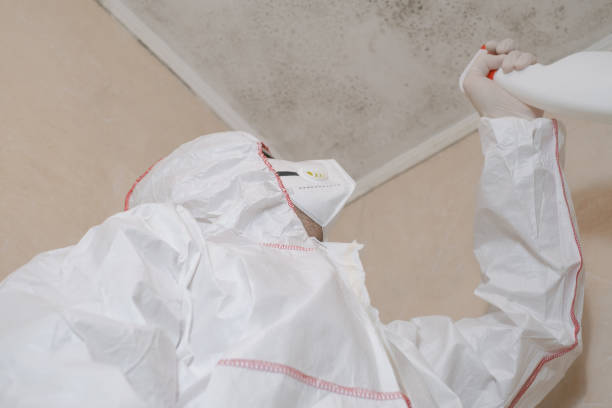 Best Mold Remediation  in Oxford, OH