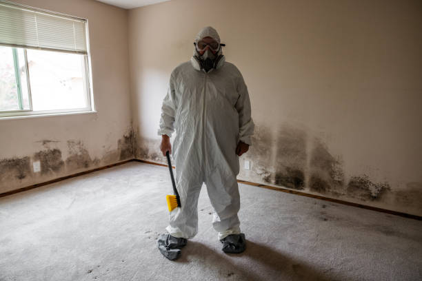 Professional Mold Removal in Oxford, OH